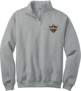 Delaware Ducks NuBlend 1/4-Zip Cadet Collar Sweatshirt