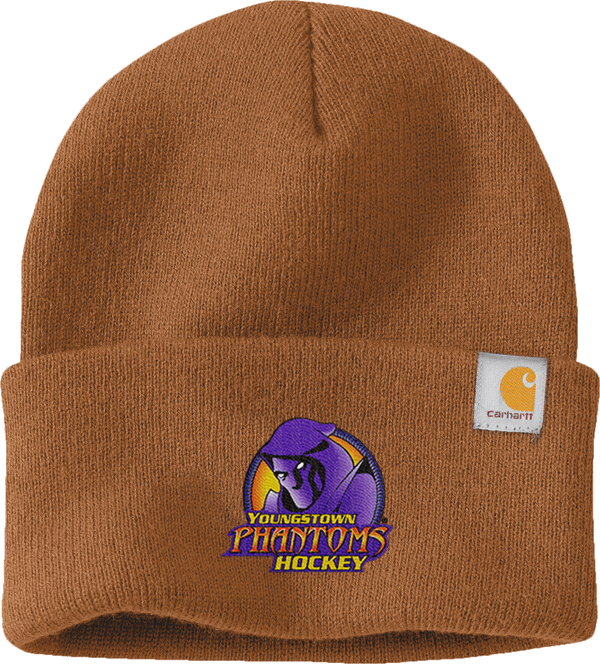 Youngstown Phantoms Carhartt Watch Cap 2.0