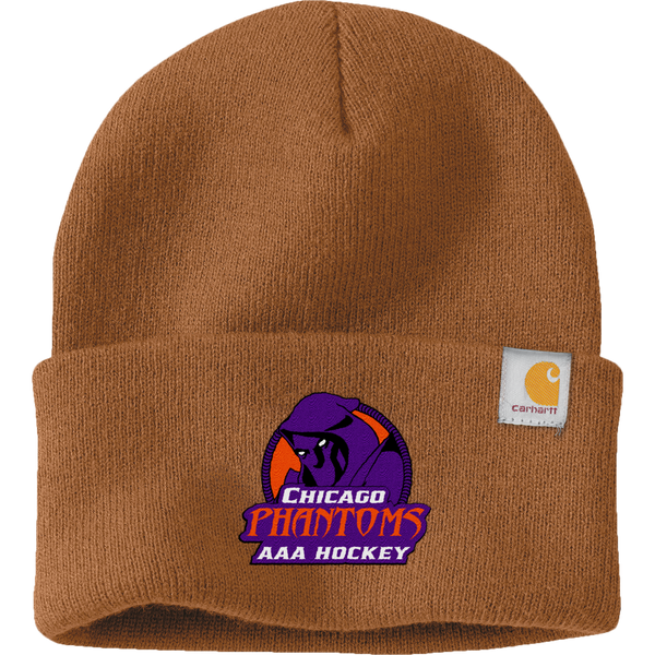 Chicago Phantoms Carhartt Watch Cap 2.0