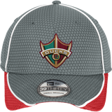 Delaware Ducks New Era Hex Mesh Cap