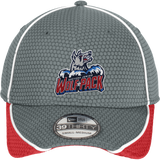 Hartford Jr. Wolfpack New Era Hex Mesh Cap